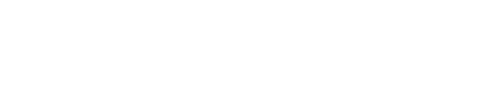 IT Solutions Client Logo